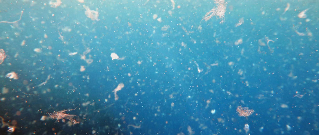 Mikroplastik: Die unsichtbare Gefahr