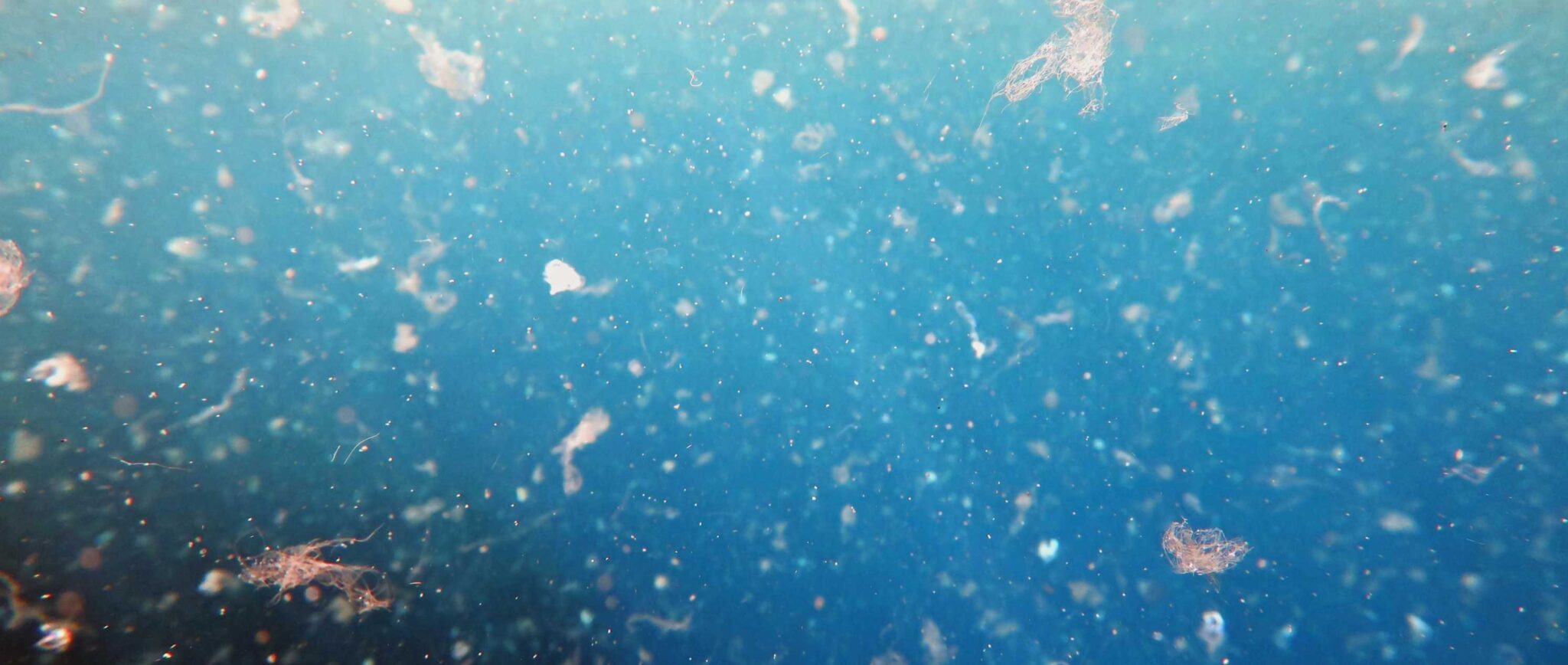 Mikroplastik: Die unsichtbare Gefahr