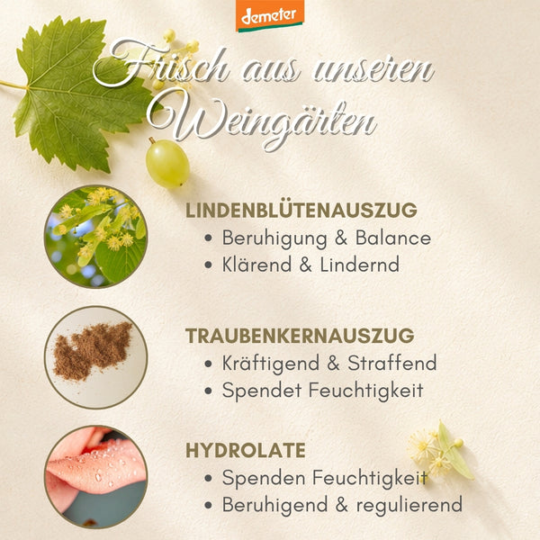 Infografik frisch aus den Weingärten mit Lindenblütenauszug, Traubenkernauszug und Hydrolaten – Wirkstoffe der dieNikolai Demeter Bio-Traubenkosmetik aus der Wachau