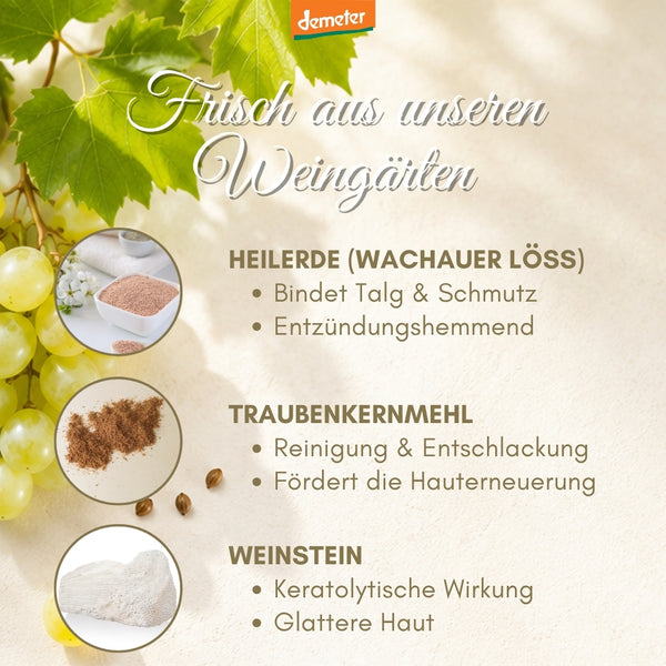 Wirkstoff-Infografik mit Heilerde Wachauer Löss, Traubenkernmehl und Weinstein bei grünen Trauben – Naturwirkstoffe der dieNikolai Demeter Bio-Traubenkosmetik