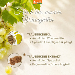 Infografik Frisch aus unseren Weingärten mit Traubenkernöl und Traubenkern-Extrakt – Anti-Aging Wirkstoffe von dieNikolai Demeter Bio-Naturkosmetik