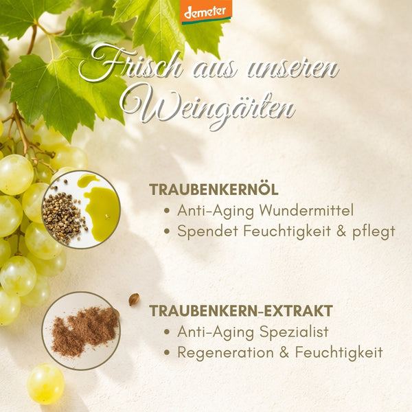 Infografik Frisch aus unseren Weingärten mit Traubenkernöl und Traubenkern-Extrakt – Anti-Aging Wirkstoffe von dieNikolai Demeter Bio-Naturkosmetik