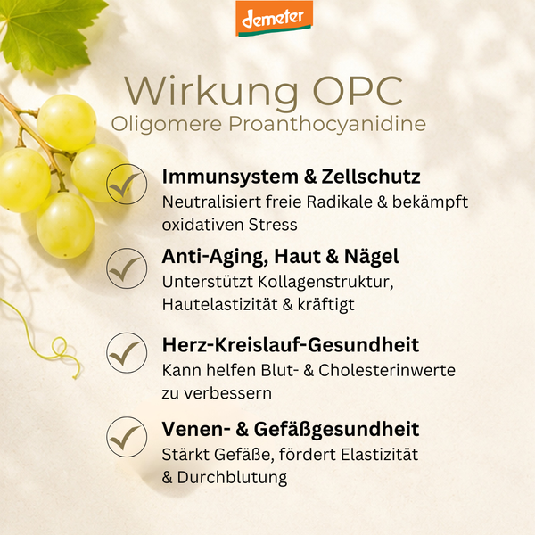 Infografik OPC Wirkung mit Trauben und Weinblättern – Immunsystem, Anti-Aging, Herz-Kreislauf und Gefäßgesundheit mit dieNikolai AOX Demeter Bio-OPC-Präparat