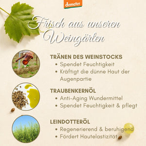 Infografik Frisch aus unseren Weingärten mit Tränen des Weinstocks, Traubenkernöl und Leindotteröl – Wirkstoffe der dieNikolai Augen-Pflege aus der Wachau