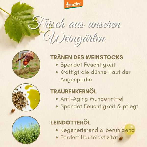 Infografik Frisch aus unseren Weingärten mit Tränen des Weinstocks, Traubenkernöl und Leindotteröl – Wirkstoffe der dieNikolai Augen-Pflege aus der Wachau
