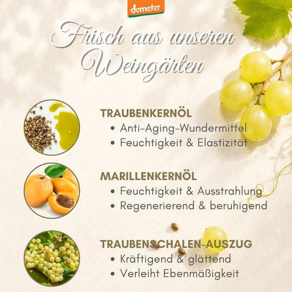 Demeter-Infografik mit Traubenkernöl, Marillenkernöl und Traubenschalen-Auszug – wertvolle Wirkstoffe der dieNikolai Bio-Traubenkosmetik aus der Wachau