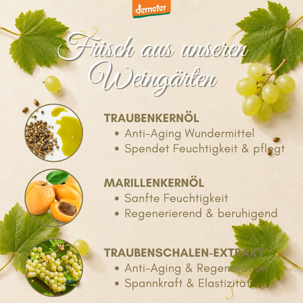 Demeter-Infografik mit Traubenkernöl, Marillenkernöl und Traubenschalen-Extrakt zwischen Weinblättern – Pflegekomplex der dieNikolai Bio-Traubenkosmetik