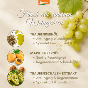 Infografik Frisch aus unseren Weingärten mit Traubenkernöl, Marillenkernöl und Traubenschalen-Extrakt – Wirkstoffe von dieNikolai Demeter Bio-Naturkosmetik aus der Wachau