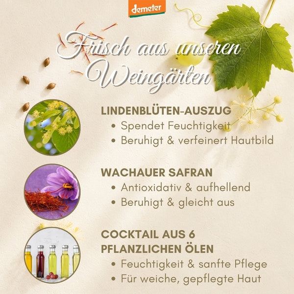 Infografik dieNikolai mit Lindenblüten-Auszug, Wachauer Safran und Cocktail aus 6 pflanzlichen Ölen – wertvolle Wirkstoffe der Demeter Bio-Traubenkosmetik aus der Wachau