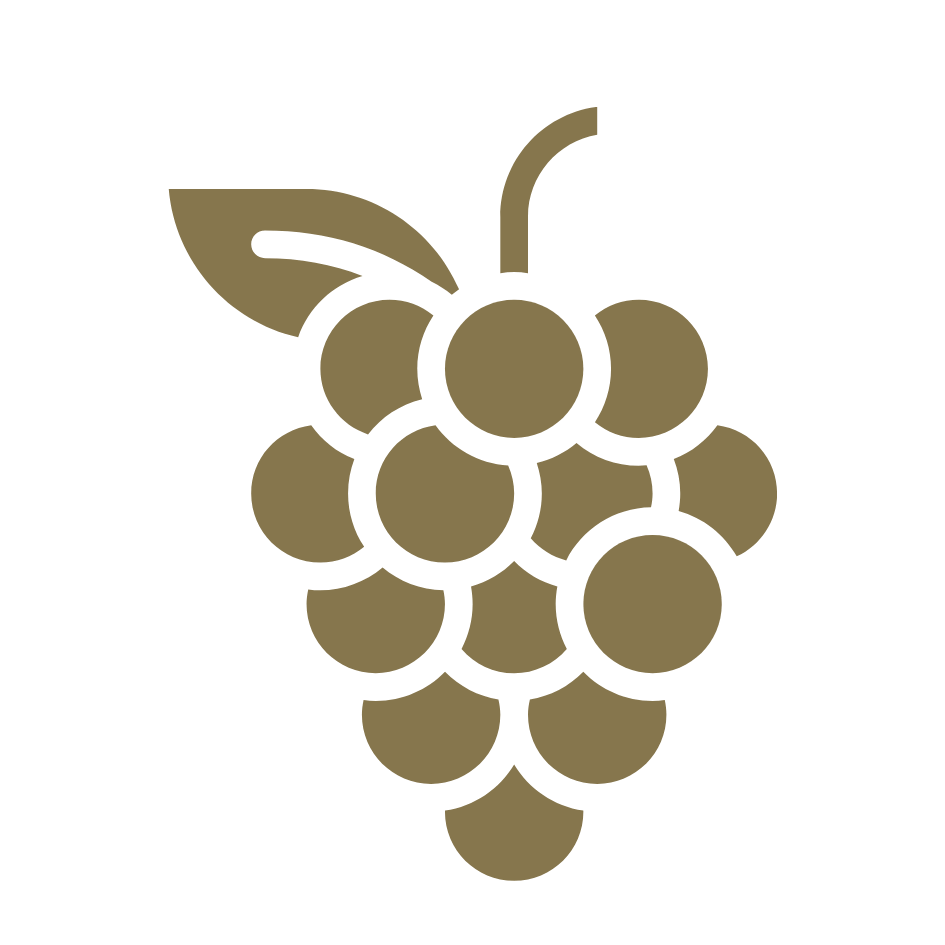 Goldenes Trauben-Icon mit Weinblatt – Symbol für die zentrale Rolle der Trauben in dieNikolai Demeter Bio-Traubenkosmetik aus der Wachau