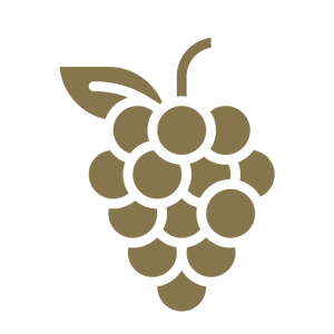 Goldenes Trauben-Icon mit Weinblatt – Symbol für die zentrale Rolle der Trauben in dieNikolai Demeter Bio-Traubenkosmetik aus der Wachau