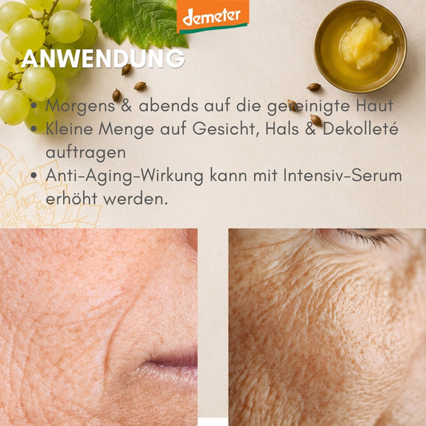 Anwendungs-Infografik mit Hautnahaufnahmen und Ghee-Schale – Anti-Aging-Pflege fürs Gesicht mit dieNikolai Demeter Bio-Traubenkosmetik aus der Wachau