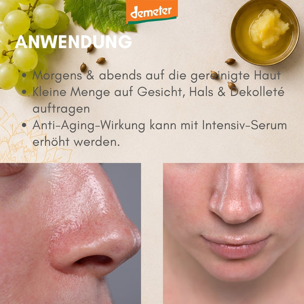 Anwendungs-Infografik mit zwei Nasen-Closeups vorher-nachher, Demeter-Logo und Trauben – Anwendung der Anti-Aging Pflege von dieNikolai Bio-Traubenkosmetik