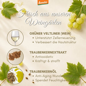 Demeter-Infografik mit Grünem Veltliner, Traubenkernextrakt und Traubenkernöl – Wachauer Wirkstoff-Trio der dieNikolai Bio-Traubenkosmetik