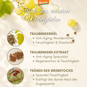 Infografik Frisch aus unseren Weingärten mit grünen Trauben, Traubenkernöl, Traubenkern-Extrakt und Tränen des Weinstocks – Wirkstoffe dieNikolai Augen-Serum