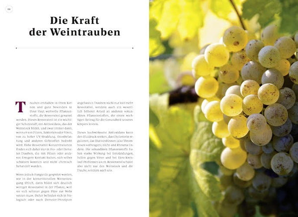 Christine Saahs' - Kochen mit der Kraft der Natur-1440