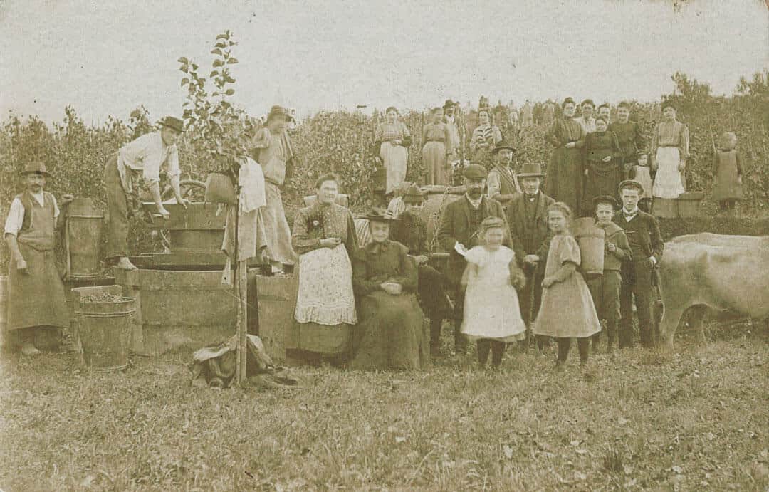 Historisches Sepia-Foto einer Großfamilie bei der Weinlese im Weingarten – Generationen-Tradition hinter dieNikolai Demeter Bio-Traubenkosmetik aus der Wachau