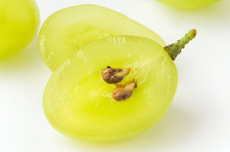 dieNikolai AOX OPC