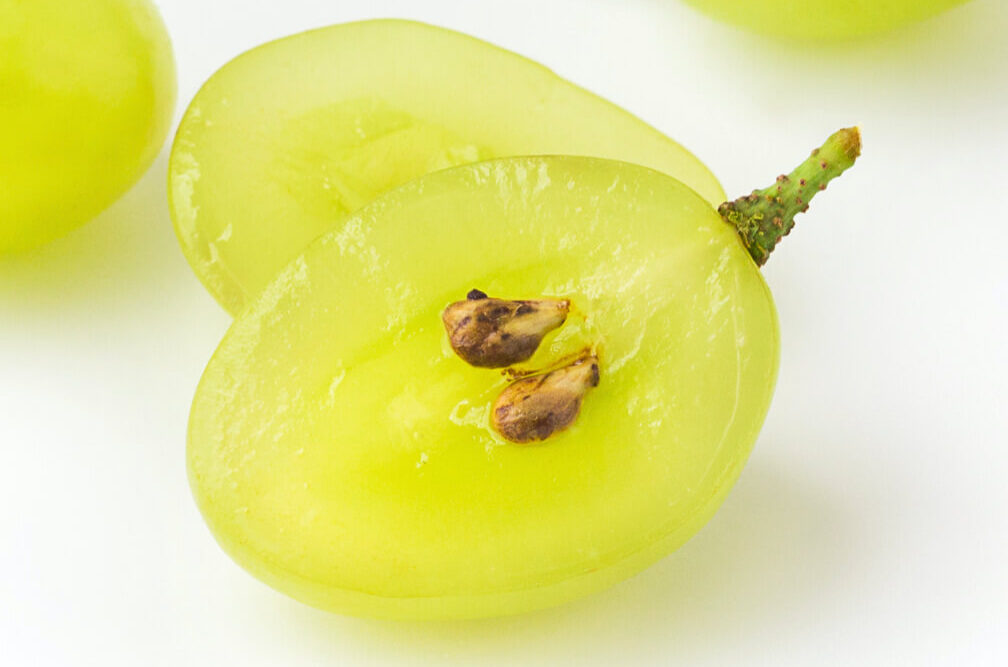dieNikolai AOX OPC